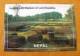 Lumbini - Birthplace of Lord Buddha - Postkarte aus Nepal