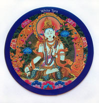Magnet Weisse Tara - Khlschrankmagnet - Metallpinnwand - Nepal #b
